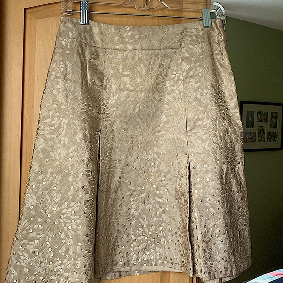 Ann Taylor Dresses & Skirts - ❇️Ann Taylor pleated taupe/beige silk skirt with gold sequins and thread accents